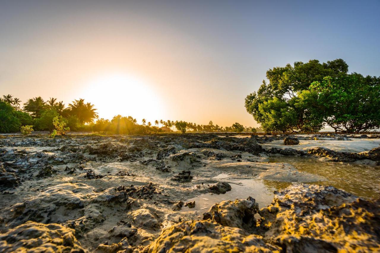 White Paradise Zanzibar Pongwe Ngoại thất bức ảnh